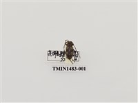 藏品(茶胡麻天牛)的圖片
